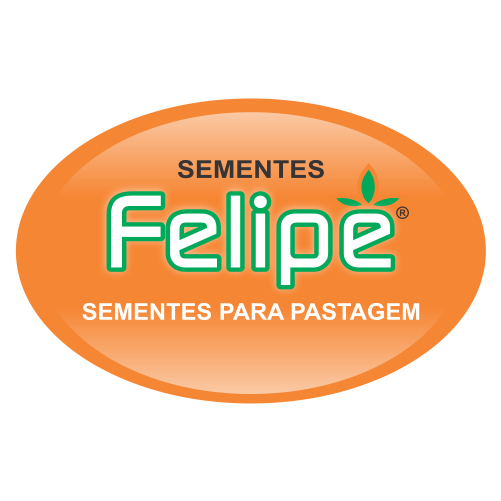 Sementes Felipe